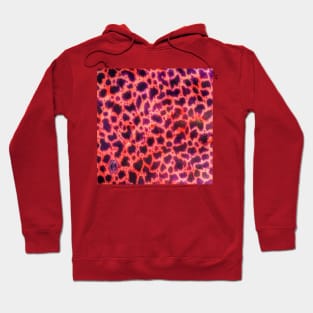 Purple Pink Leopard Hoodie